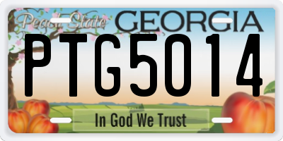 GA license plate PTG5014