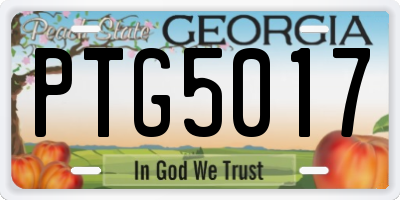 GA license plate PTG5017