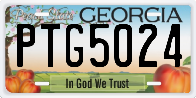 GA license plate PTG5024