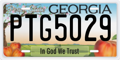 GA license plate PTG5029