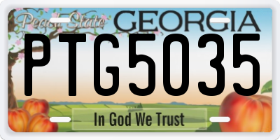 GA license plate PTG5035