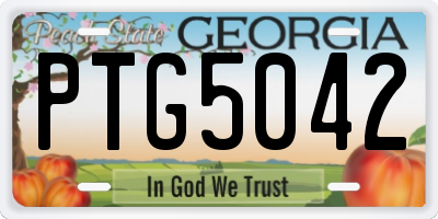 GA license plate PTG5042