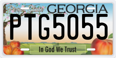GA license plate PTG5055