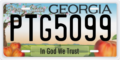 GA license plate PTG5099