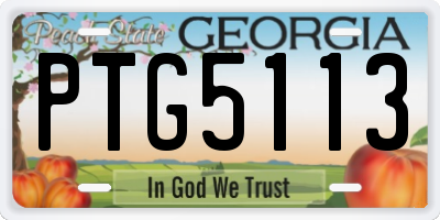 GA license plate PTG5113