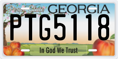 GA license plate PTG5118