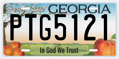 GA license plate PTG5121