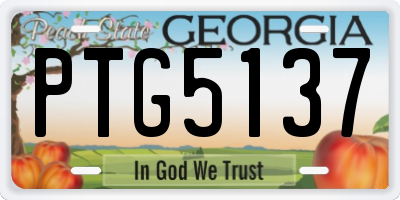 GA license plate PTG5137