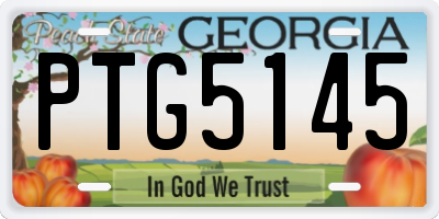 GA license plate PTG5145