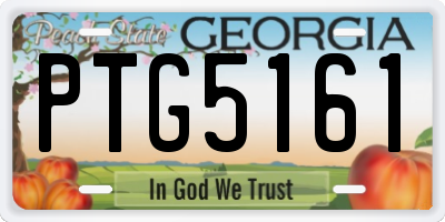 GA license plate PTG5161