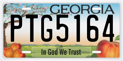 GA license plate PTG5164