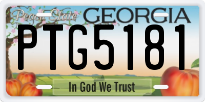 GA license plate PTG5181