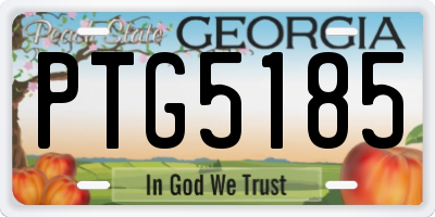 GA license plate PTG5185