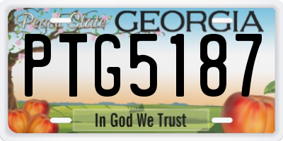 GA license plate PTG5187