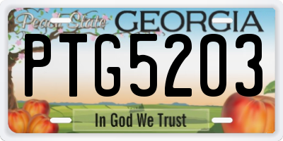 GA license plate PTG5203