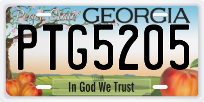 GA license plate PTG5205