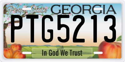 GA license plate PTG5213