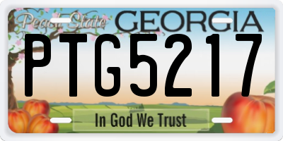 GA license plate PTG5217