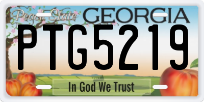 GA license plate PTG5219