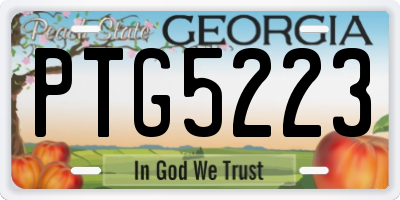 GA license plate PTG5223