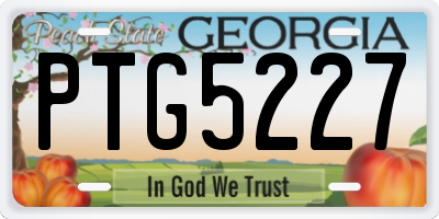 GA license plate PTG5227