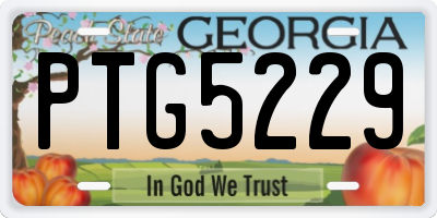 GA license plate PTG5229