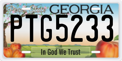 GA license plate PTG5233