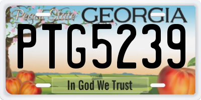 GA license plate PTG5239