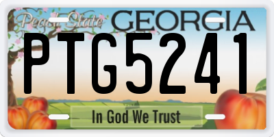GA license plate PTG5241