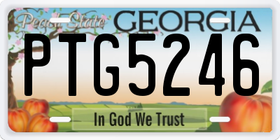 GA license plate PTG5246