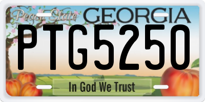 GA license plate PTG5250