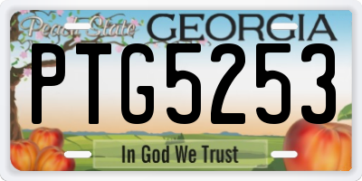 GA license plate PTG5253