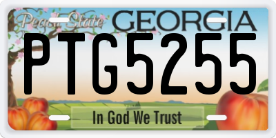 GA license plate PTG5255