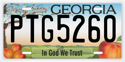 GA license plate PTG5260