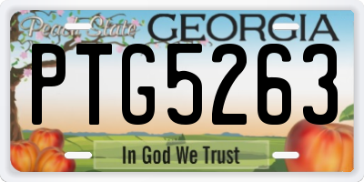 GA license plate PTG5263