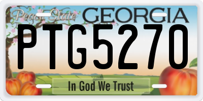 GA license plate PTG5270