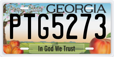 GA license plate PTG5273