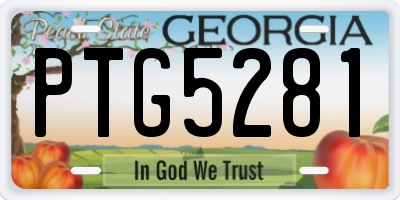 GA license plate PTG5281