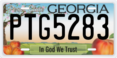 GA license plate PTG5283