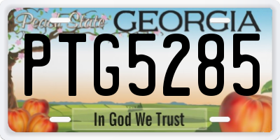 GA license plate PTG5285