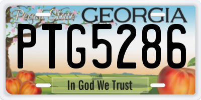 GA license plate PTG5286