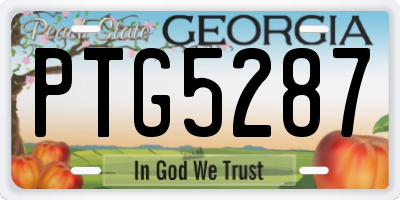 GA license plate PTG5287