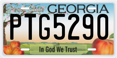 GA license plate PTG5290