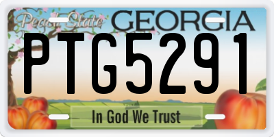 GA license plate PTG5291