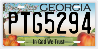 GA license plate PTG5294