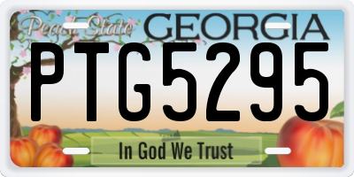 GA license plate PTG5295