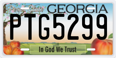 GA license plate PTG5299