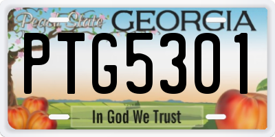 GA license plate PTG5301