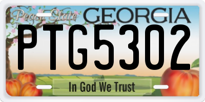 GA license plate PTG5302