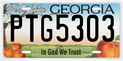 GA license plate PTG5303